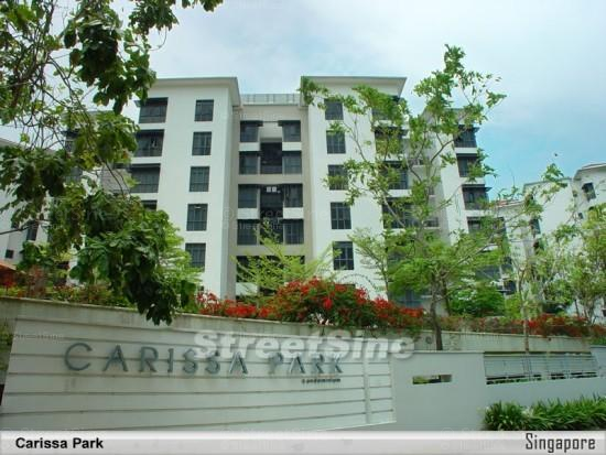Carissa Park Condominium thumbnail photo